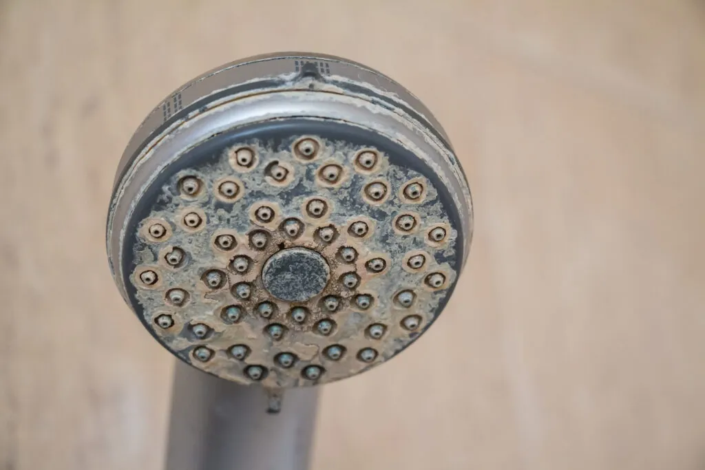 Hard water buildup on showerhead. 